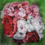 fiori rose, Clotilde 154x154